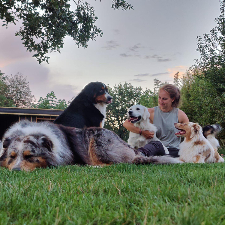 Dogs & Their Homes